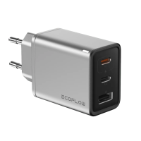Зарядний пристрій EcoFlow Rapid Charger 65W